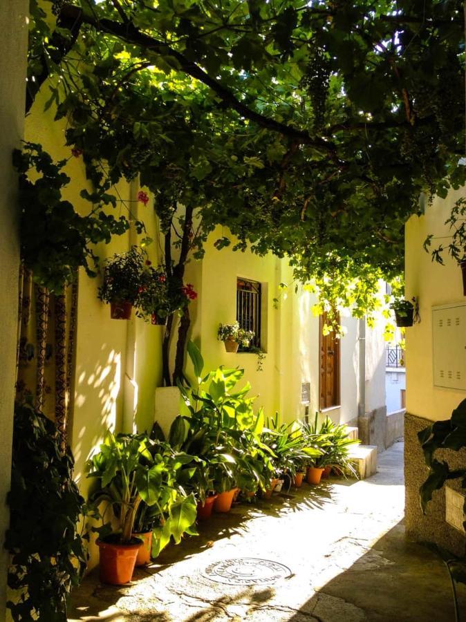 Casa Corasol, A Cozy, Comfy, 2Br House- Panoramic View And Rooftop Canar Exteriér fotografie