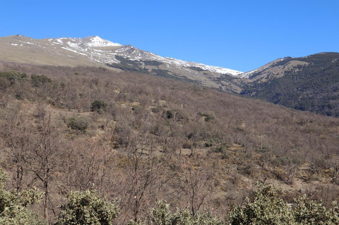 Casa Corasol, A Cozy, Comfy, 2Br House- Panoramic View And Rooftop Canar Exteriér fotografie